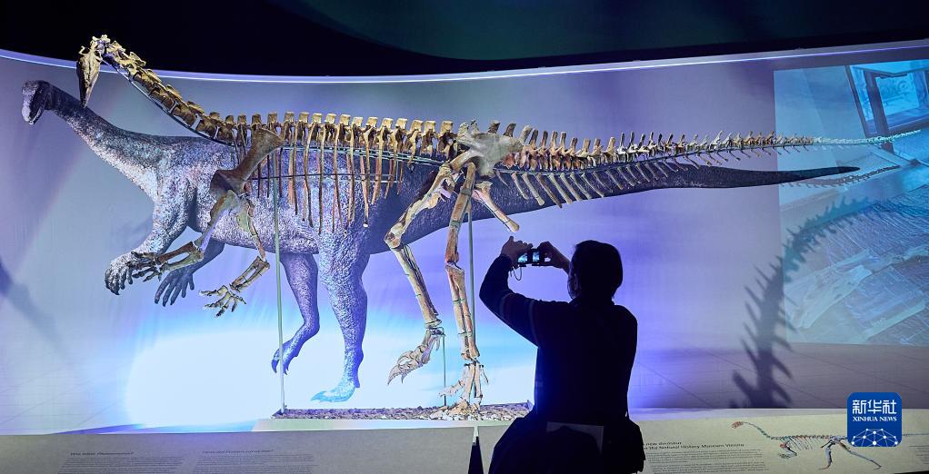 奥地利维也纳展出2.1亿年前恐龙骨架