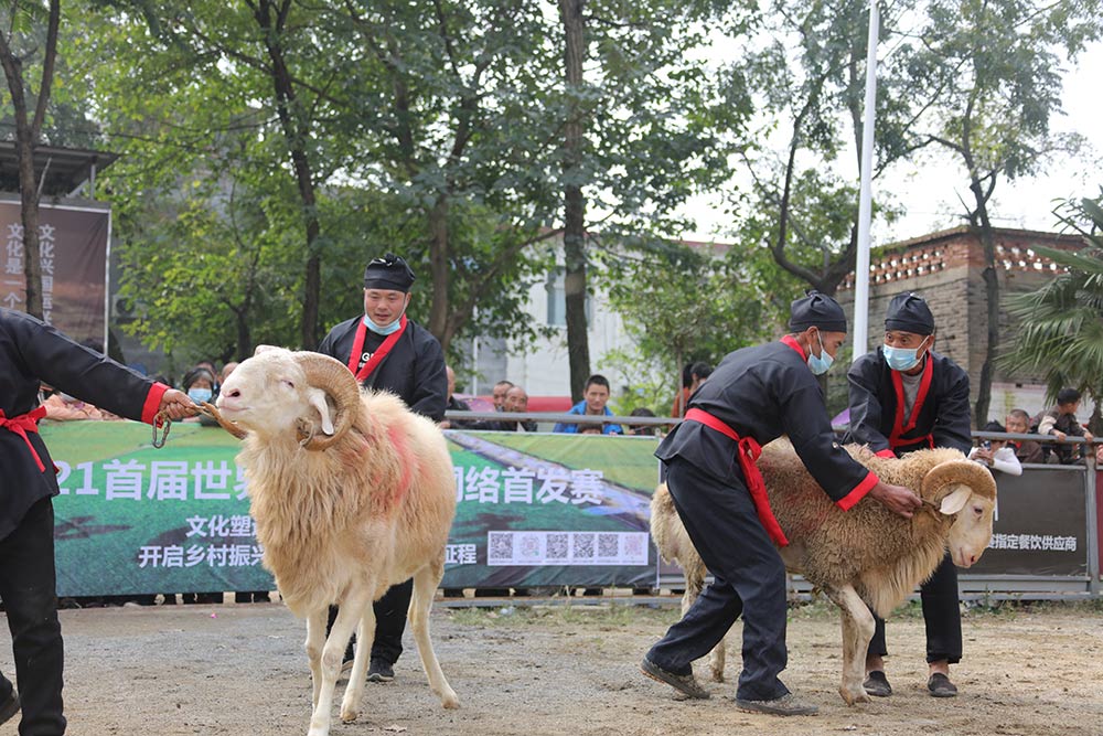 河南邓州举办首届“斗羊”大赛 力促文旅产业发展