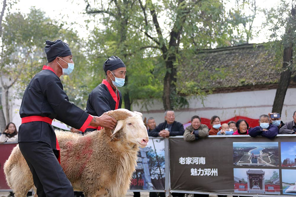河南邓州举办首届“斗羊”大赛 力促文旅产业发展