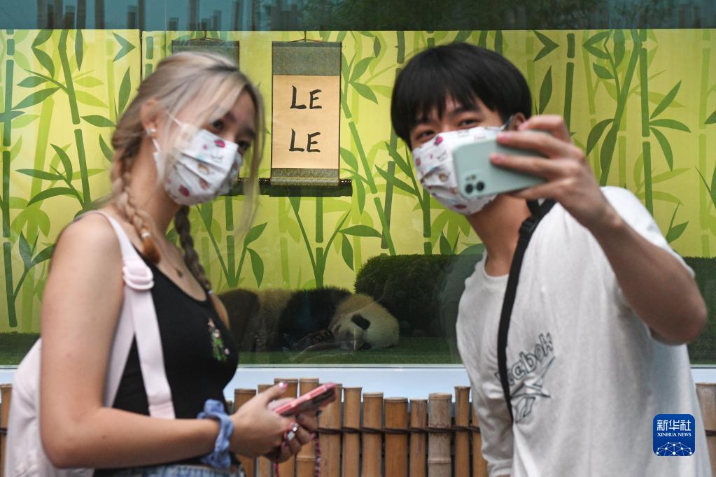 新加坡：大熊猫宝宝叻叻首次与公众见面