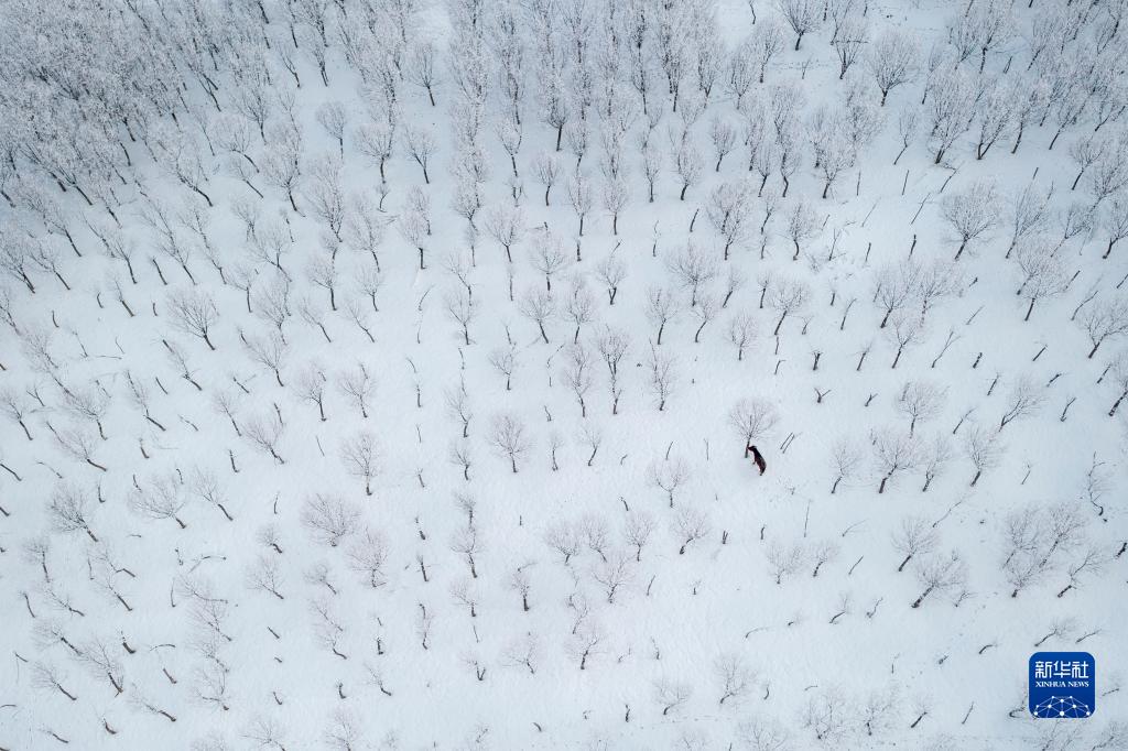 壮美的雅鲁藏布大峡谷雪景