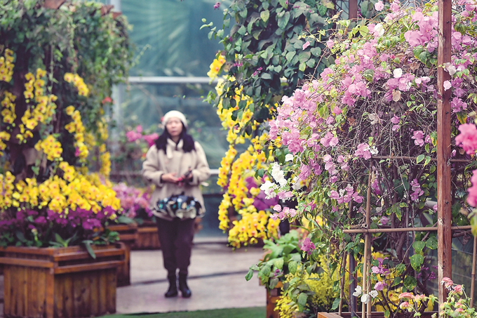 南京中山植物园新春兰花展开幕