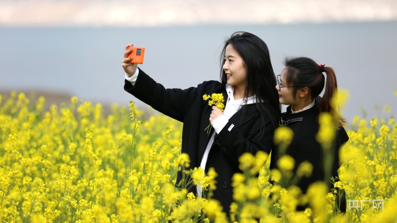 贵州纳雍河畔：油菜花开迎春来 踏青赏花正当时