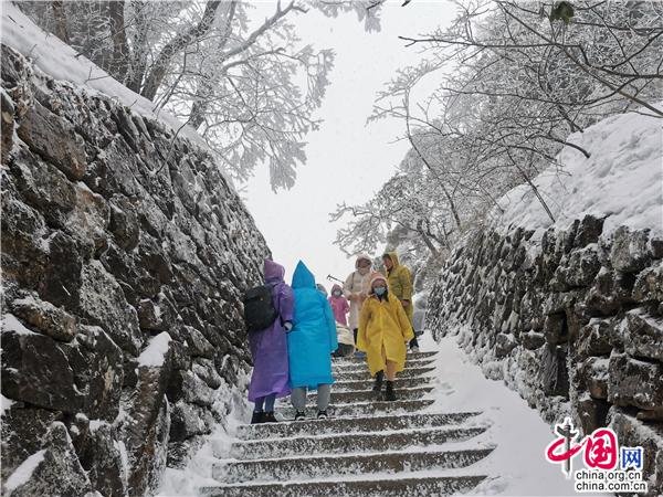 安徽黄山又又又降雪啦！惊羡游客 催热赏雪游
