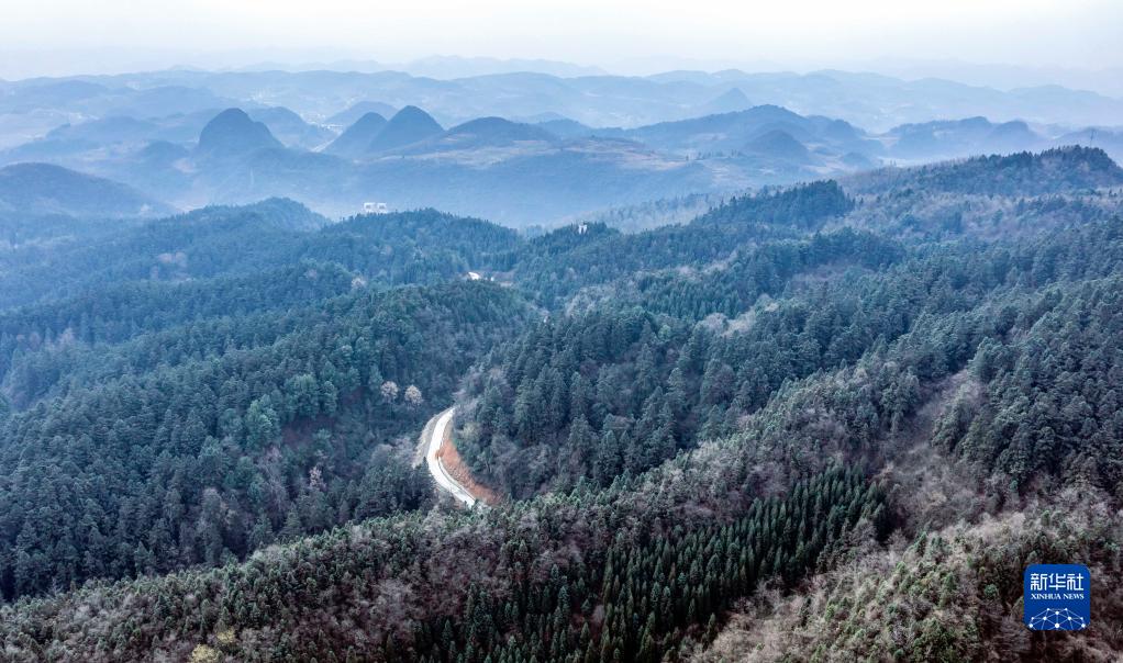 贵州森林覆盖率达到62.12%