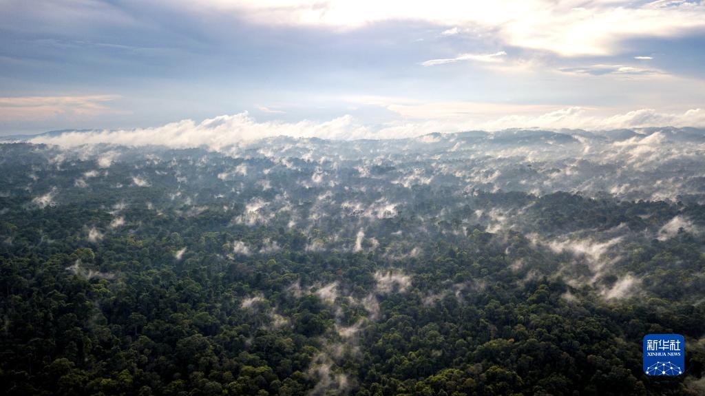 国际森林日——“飞阅”泰国考艾国家公园