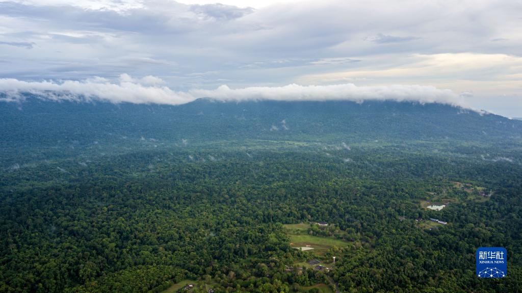 国际森林日——“飞阅”泰国考艾国家公园
