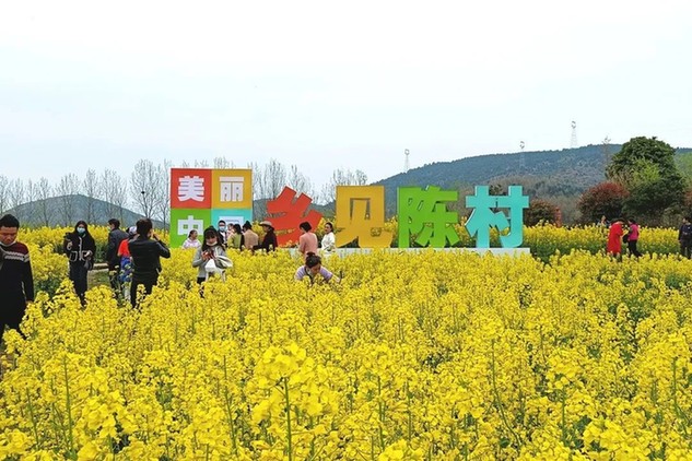 春季主題招商周活動,通過網絡直播的方式,在南鄭區陽春鎮陳村正式啟動