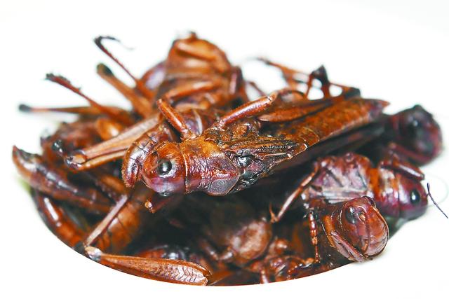 “炸蚂蚱”，乌干达人的“时尚小零食”