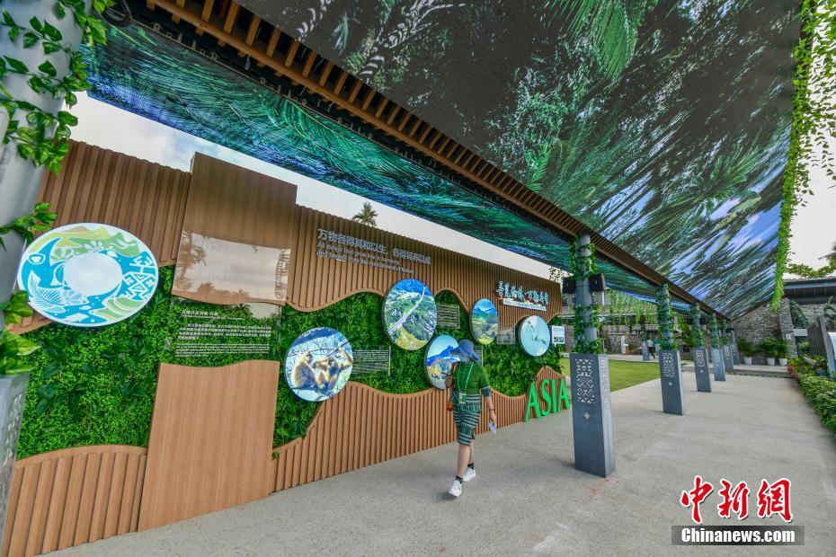 热带雨林文化展在博鳌亚洲论坛主题公园展出