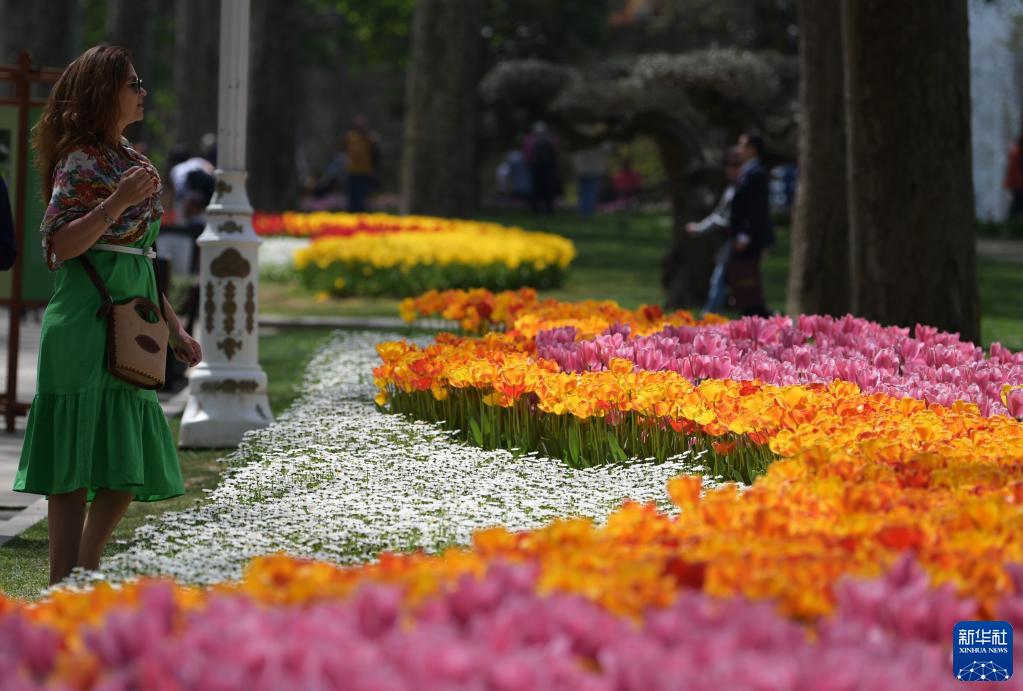 伊斯坦布尔：春光明媚的居尔哈内公园
