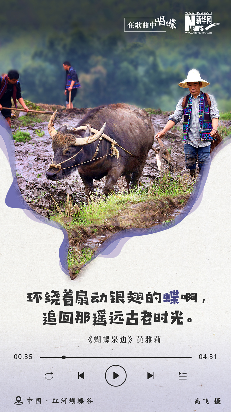 创意海报|在歌曲中唱蝶:蝶舞如诗 美景如歌 创意海报|在歌曲中唱蝶:蝶舞如诗 美景如歌