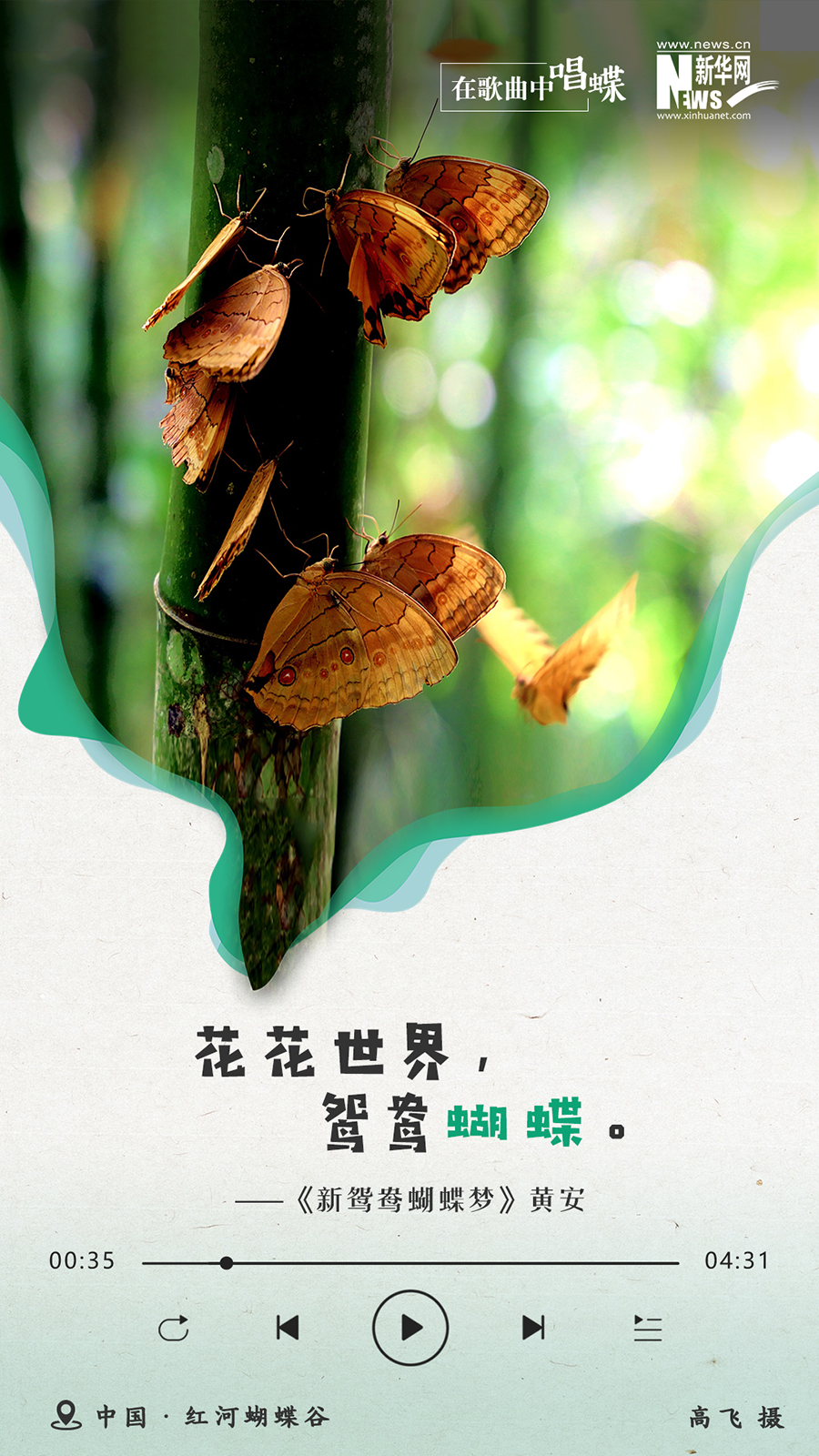 创意海报|在歌曲中唱蝶:蝶舞如诗 美景如歌 创意海报|在歌曲中唱蝶:蝶舞如诗 美景如歌