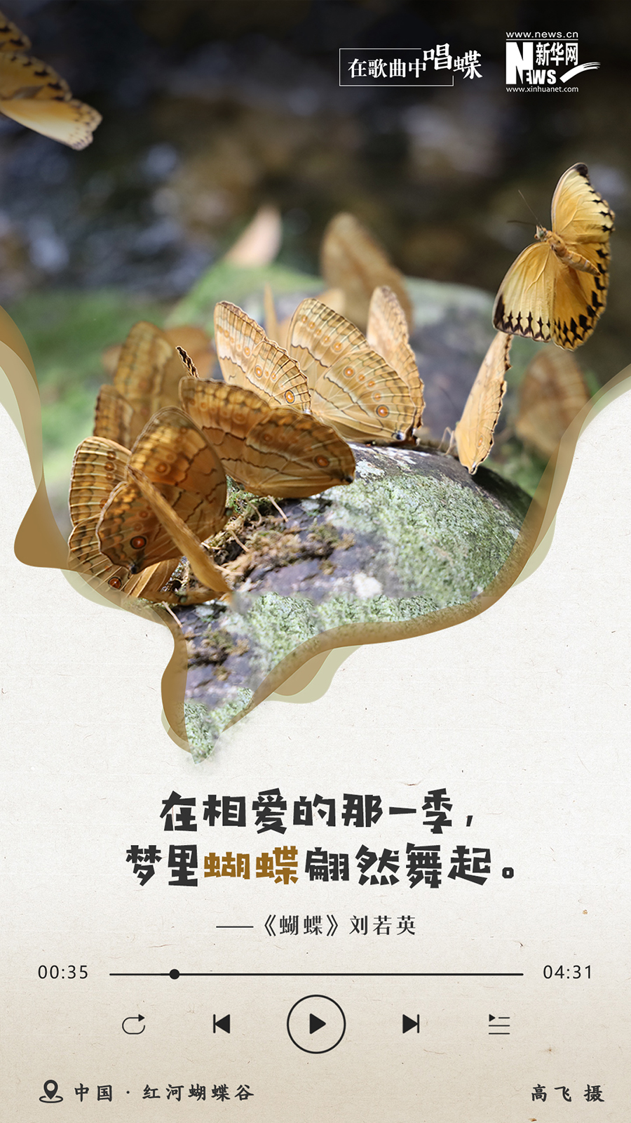 创意海报|在歌曲中唱蝶:蝶舞如诗 美景如歌 创意海报|在歌曲中唱蝶:蝶舞如诗 美景如歌