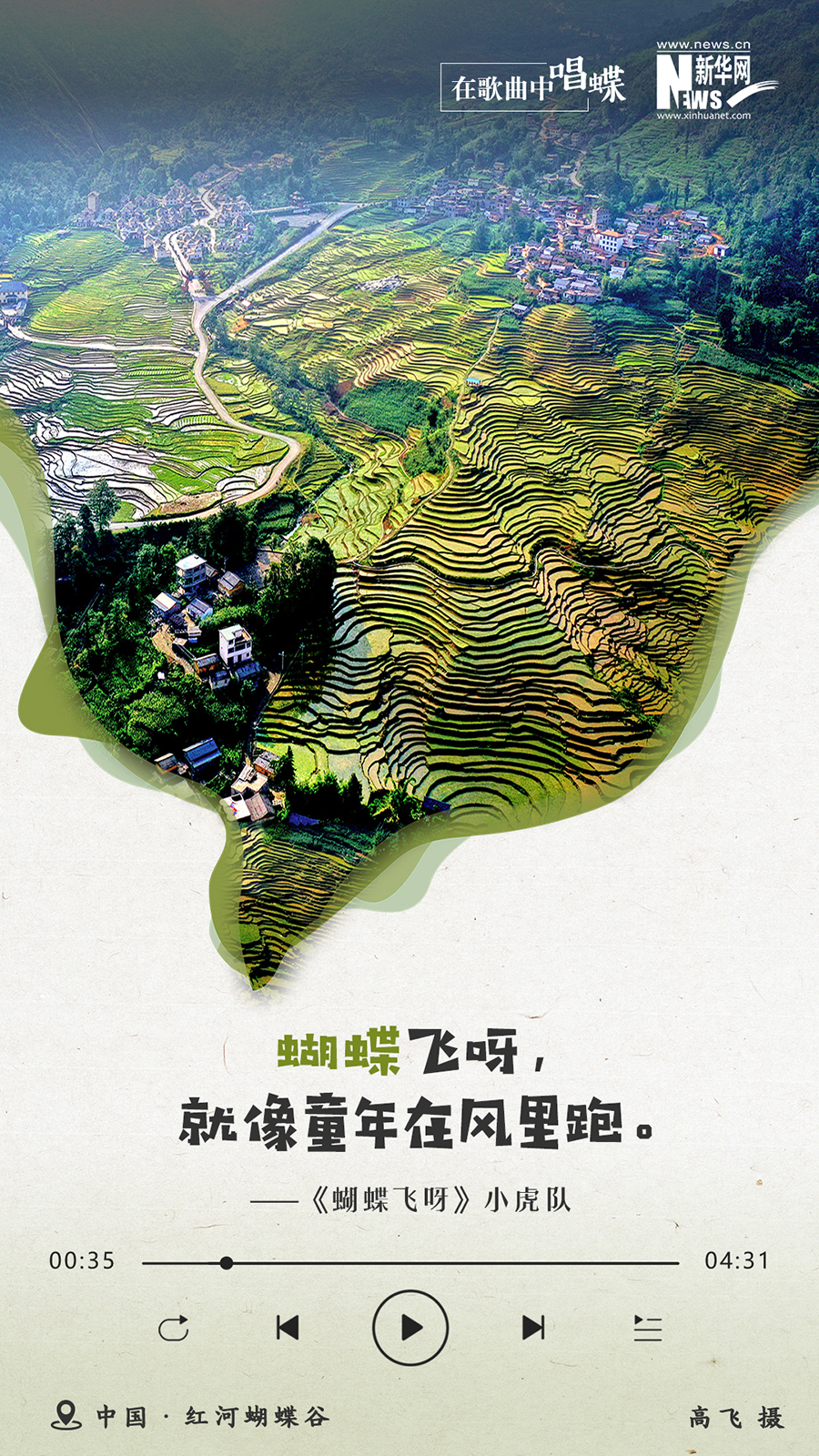 创意海报|在歌曲中唱蝶:蝶舞如诗 美景如歌 创意海报|在歌曲中唱蝶:蝶舞如诗 美景如歌