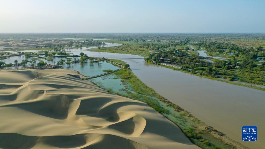 江河奔腾看中国丨塔里木河：沙漠中的绿色走廊
