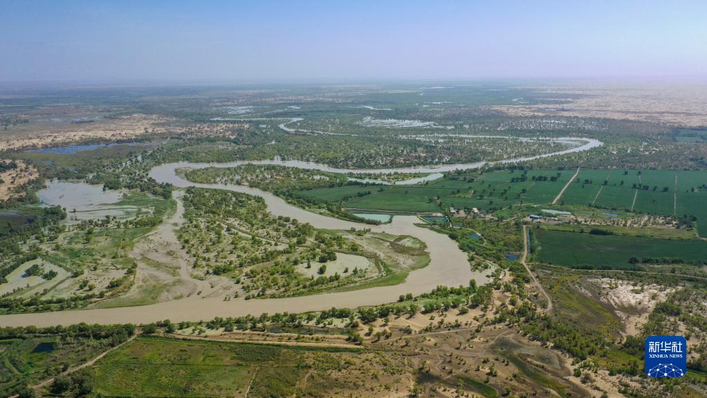 江河奔腾看中国丨塔里木河：沙漠中的绿色走廊