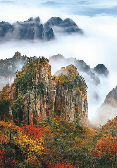 到黄山来场“微度假”