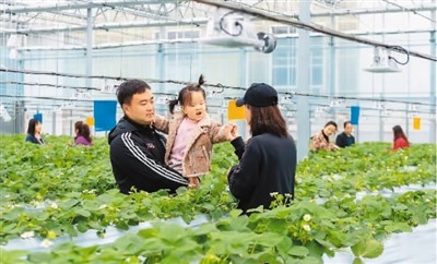 盐城：农业生态旅游热