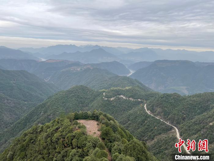 浙江文旅观察：防控优化后 乡村旅游如何“等春风”？