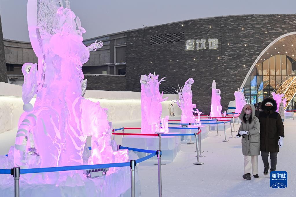 哈尔滨冰雪大世界：魅力冰雕引客来