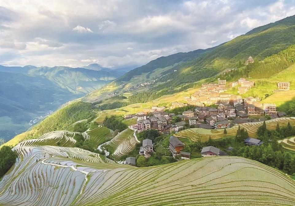 层层叠叠 流金淌蜜——广西龙脊梯田景区村村有特色