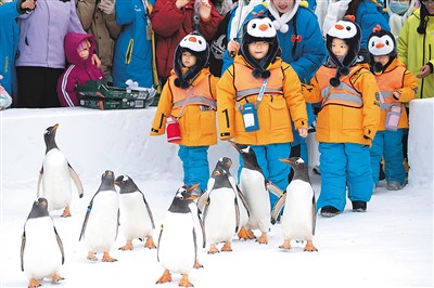冬季到哈尔滨来看雪