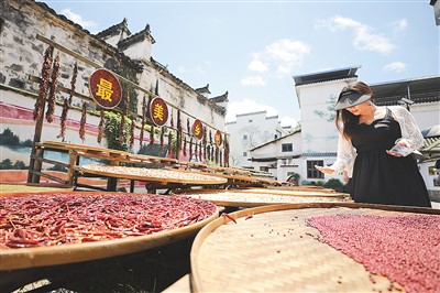 乡村旅游提质升级