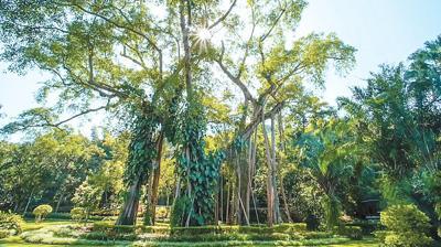 云南勐海：边境村寨这样吃好“旅游饭”