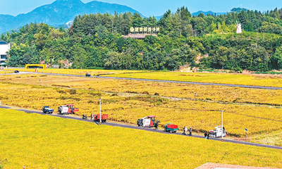 农文旅融合带火浙西乡村游