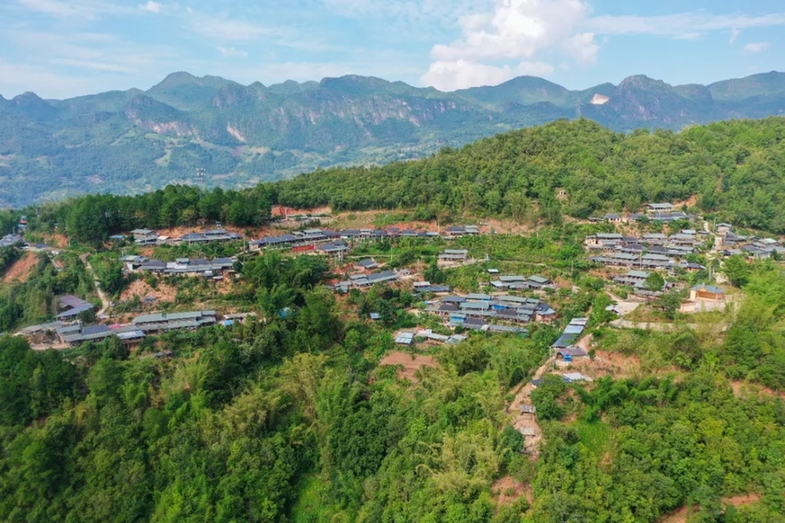 一线看发展丨西盟：沪滇协作绘新卷 佤山村寨换新颜