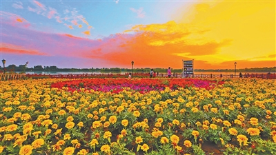 康养旅居 “慢游”撬动大市场