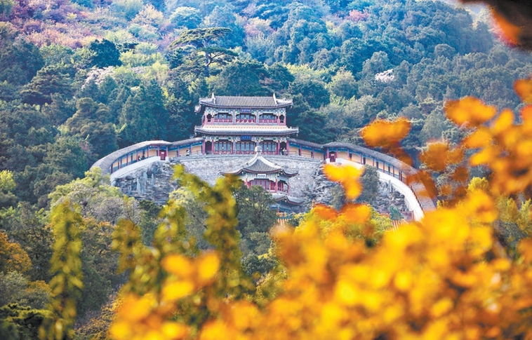 香山秋意晚 赏叶正当时