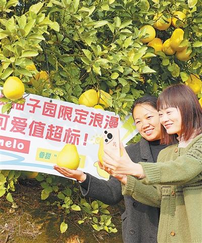 乡村文旅消费热 乡村文旅消费热