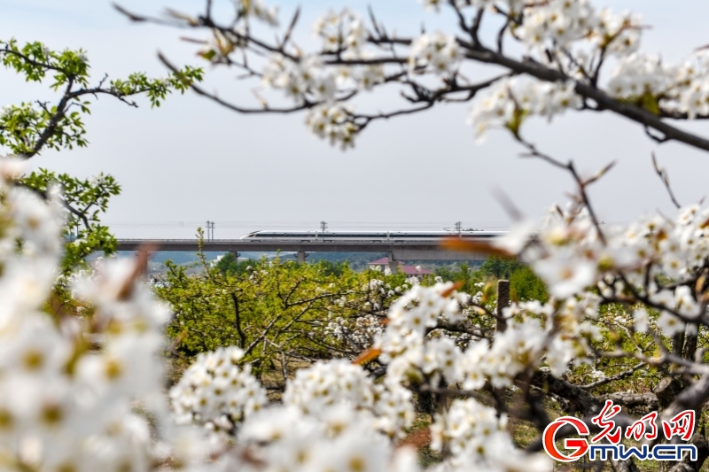 125对！62.1万座！国铁沈阳局“五一”假期运力创历史同期新高