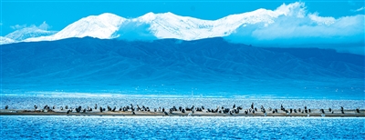 清清黄河 青海之约