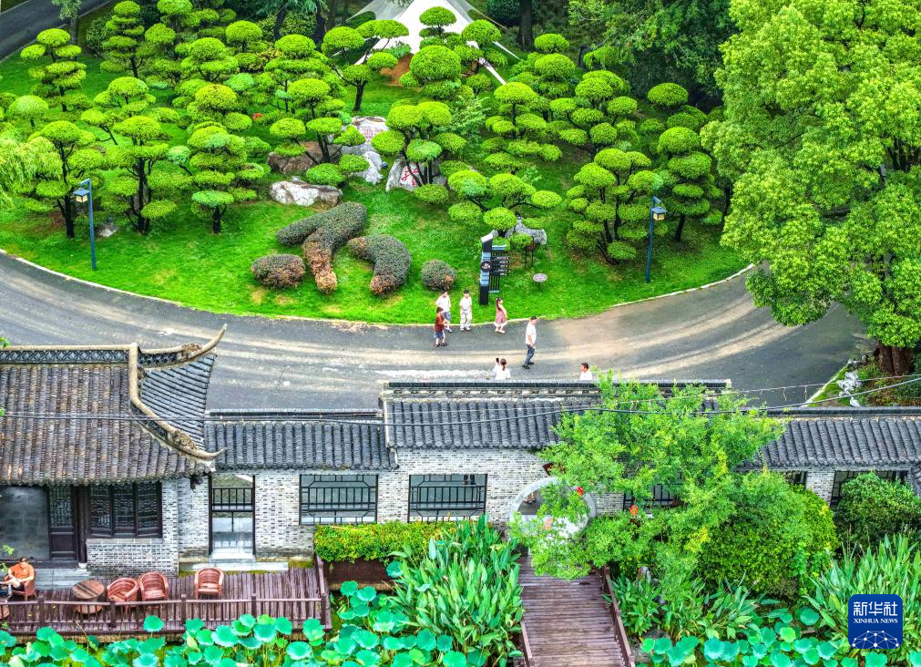 暑期旅游热