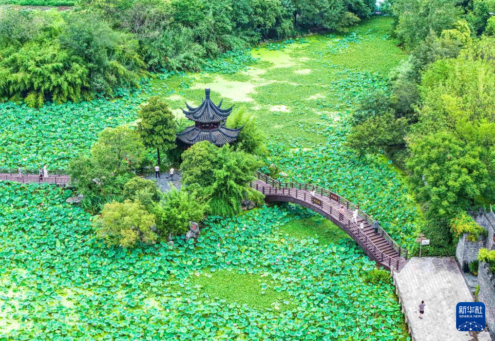 暑期旅游热