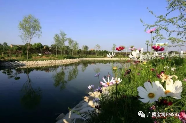 宝鸡市凤翔东湖景区7月14日正式开园