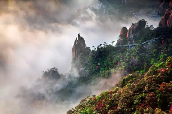 获IUCN权威点赞，三清山真是“GOOD”！