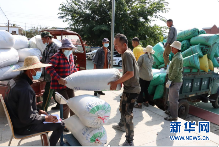 乡村振兴海南在行动 | 昌江：山海黎乡的振兴之路