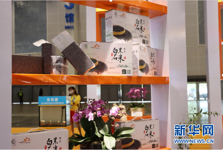 乡村振兴海南在行动 | 昌江：山海黎乡的振兴之路