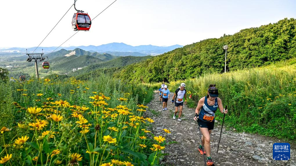 白山黑水客云集——东北生态旅游高质量发展掠影