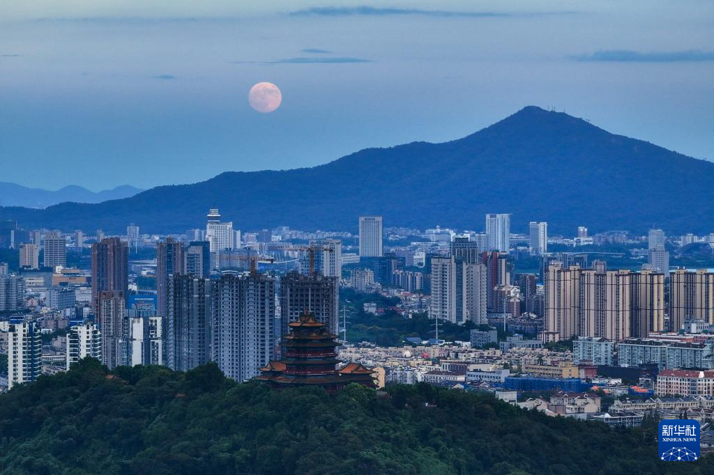 万里此情同皎洁 一年今日最分明