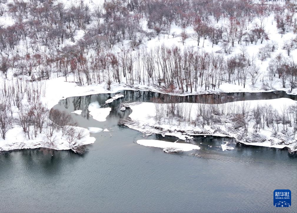 雪后的额尔古纳湿地