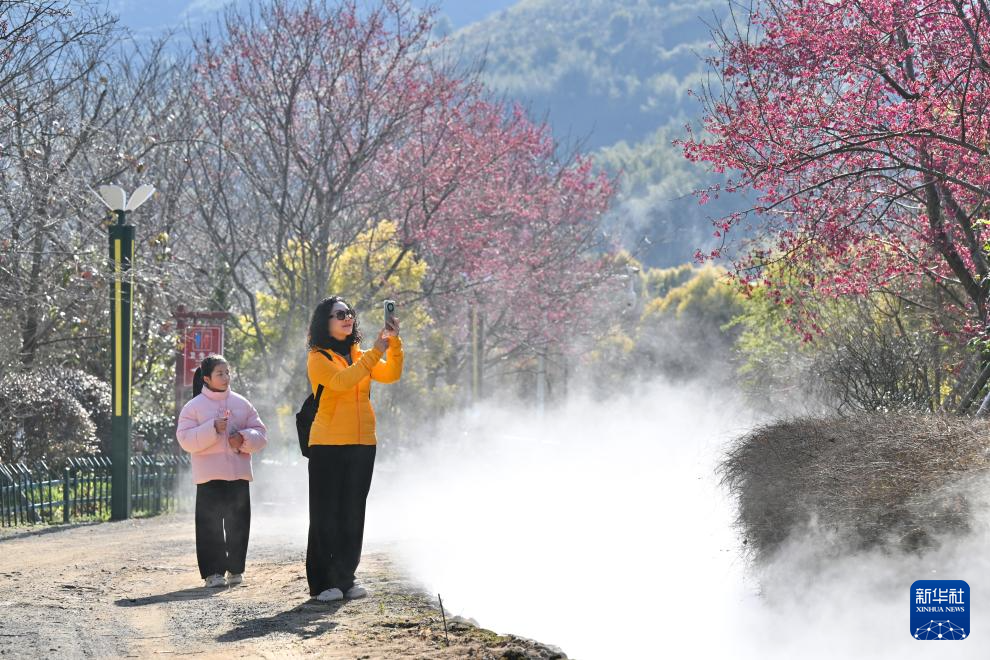 福建：相约春天赏樱花