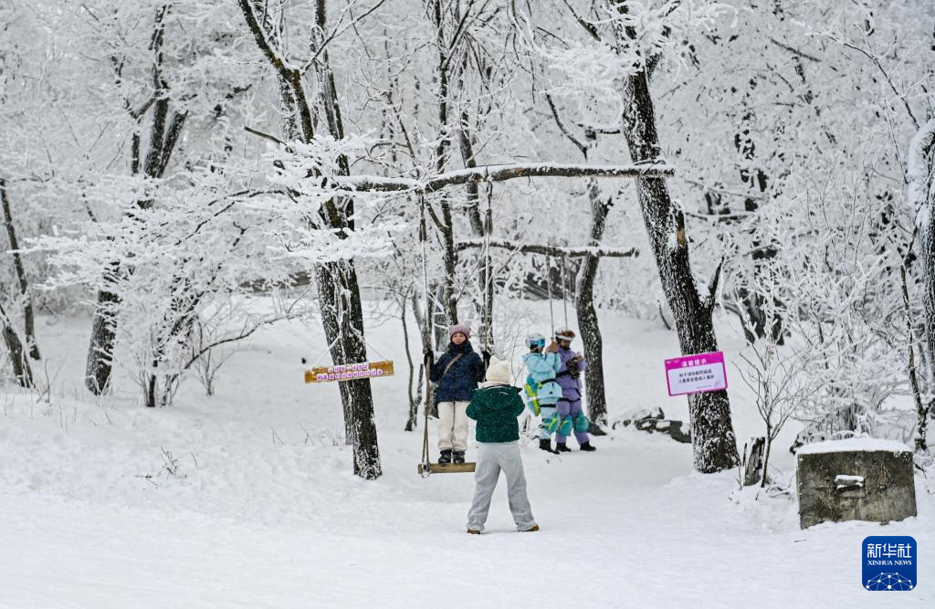 秀秀咱的冰雪热度