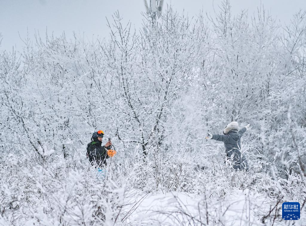 秀秀咱的冰雪热度