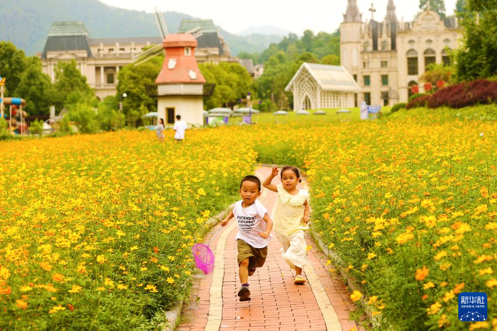 花“漾”夏日