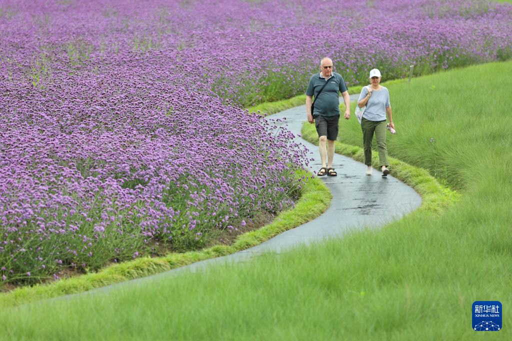 花“漾”夏日